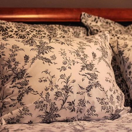 Branicki Apartments ビャウィストク エクステリア 写真